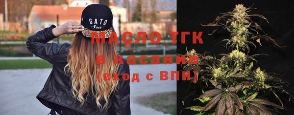 гашик Аркадак