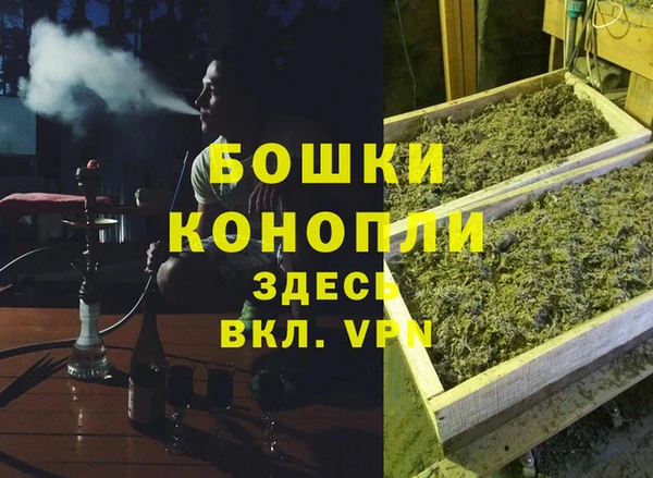 гашик Аркадак