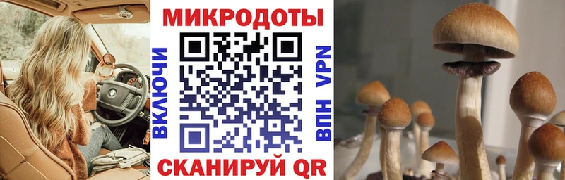 hydra   Ртищево  Галлюциногенные грибы Cubensis 